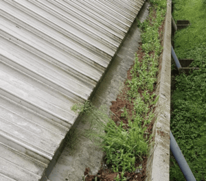 Happy customers in Winslow who trust The Roof Moss Cleaners for gutter cleaning services