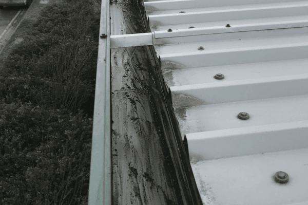 Commercial gutter cleaning specialists in Winslow